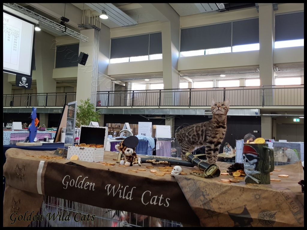GWC – Grisha Of Dizy Obsession – Galerie 09