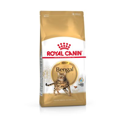  Royal Canin Bengal pour chat
