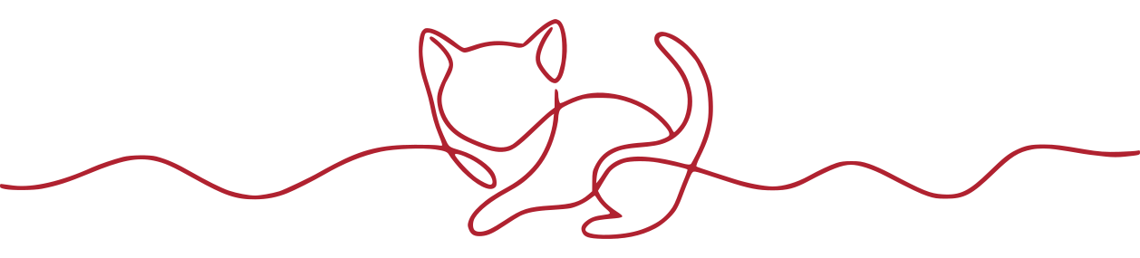 Les chatons sont nés